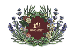 解憂公主